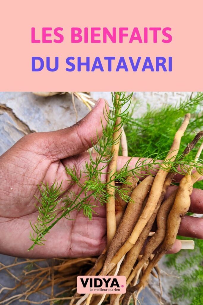 les bienfaits du shatavari